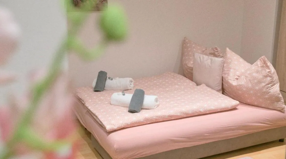 וינה Ane Apartment אוסטריה