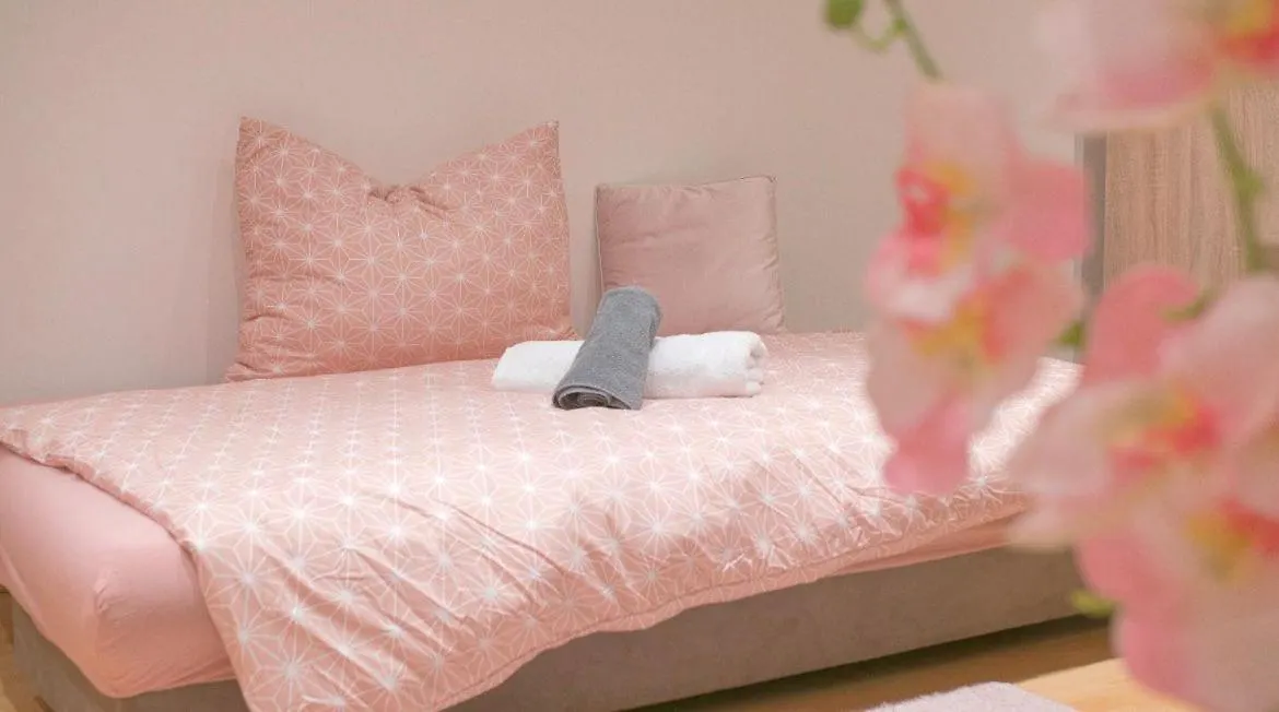 וינה Ane Apartment אוסטריה